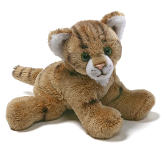 CAT GINGER-TERRY