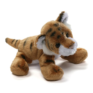 JUNGLE TIGER BROWN- DANNY