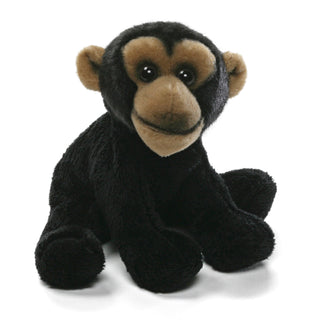 JUNGLE CHIMPAMZEE- CAMERON