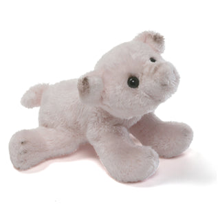 FARM PIG-IGNACIO