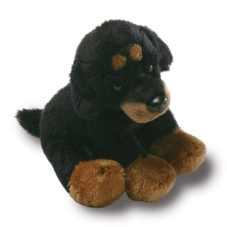 DOG ROTTWEILER- RAYMOND