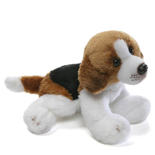 DOG BEAGLE-ANTHONY