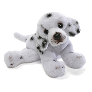 DOG DALMATIAN-DAVID