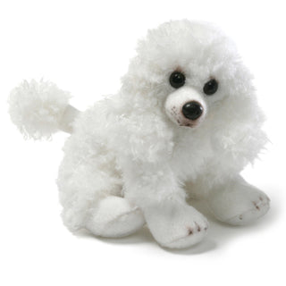 DOG POODLE-FLORA