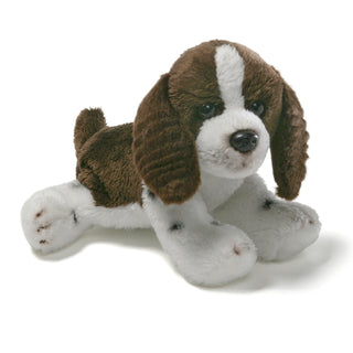 DOG SPANIEL-Erika